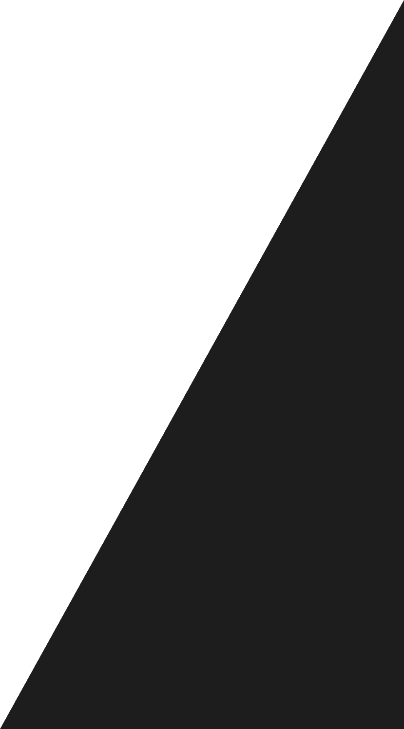 Vector decorativo